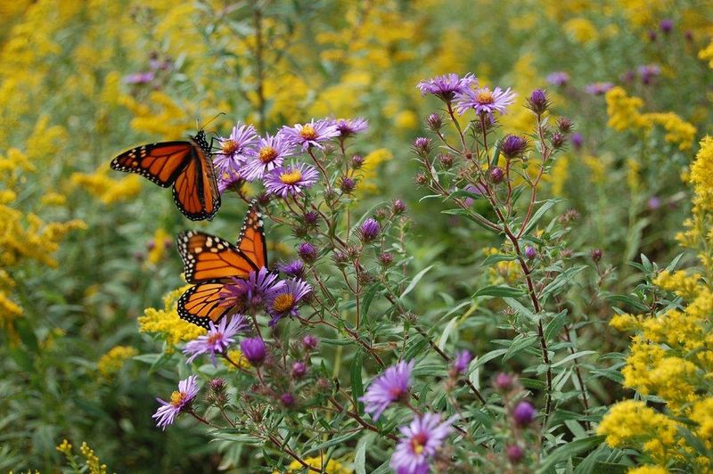 Build Useful Habitat Without Expecting a Guarantee Build Useful Habitat Without Expecting a Guarantee
