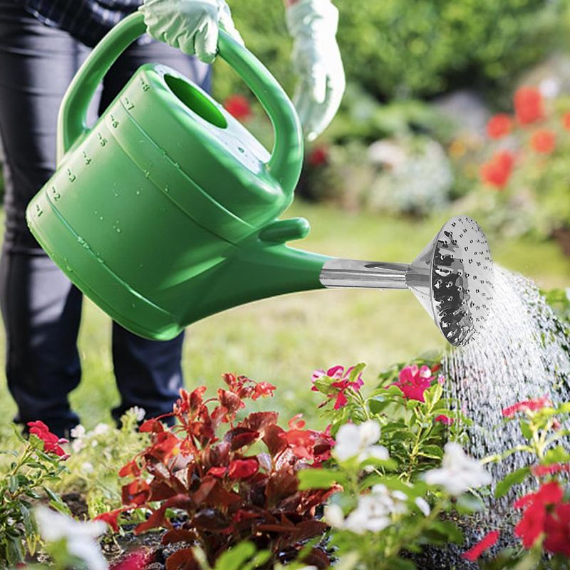 Building A Consistent Watering Routine