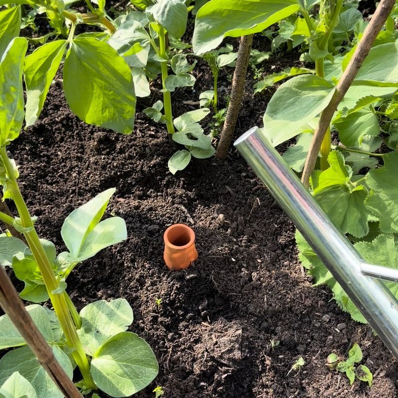 Buried Clay Pots Lose Less Water To Evaporation Buried Clay Pots Lose Less Water To Evaporation