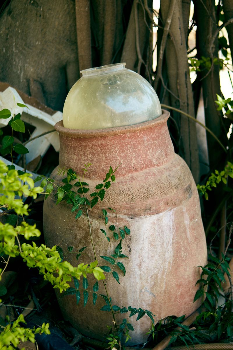 Buried Clay Pots Release Water Straight To Roots Buried Clay Pots Release Water Straight To Roots