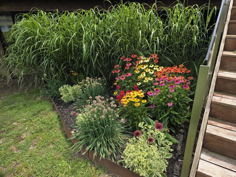 Bushes Under Decks And Stairs Create Hidden Fuel Bushes Under Decks And Stairs Create Hidden Fuel