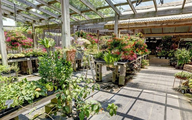 Caldwell Nursery - Rosenberg Caldwell Nursery - Rosenberg