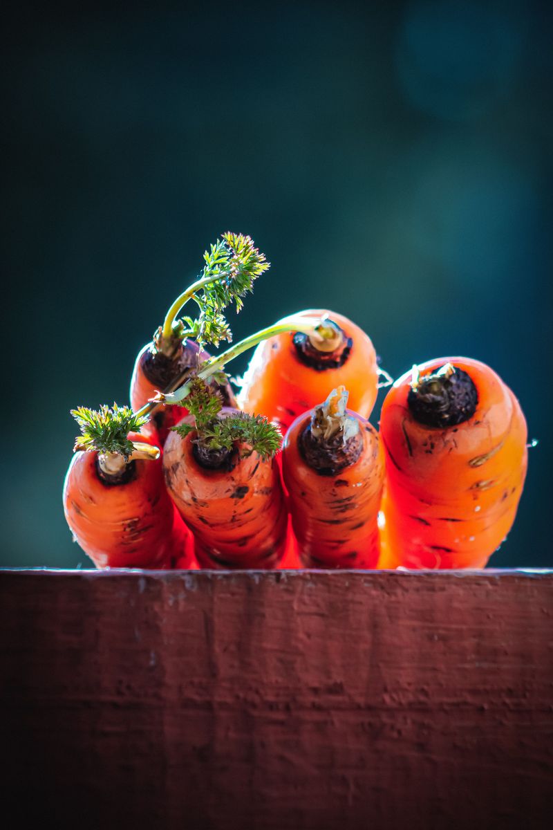 Carrots Sweeten With Cooler Fall Nights Carrots Sweeten With Cooler Fall Nights