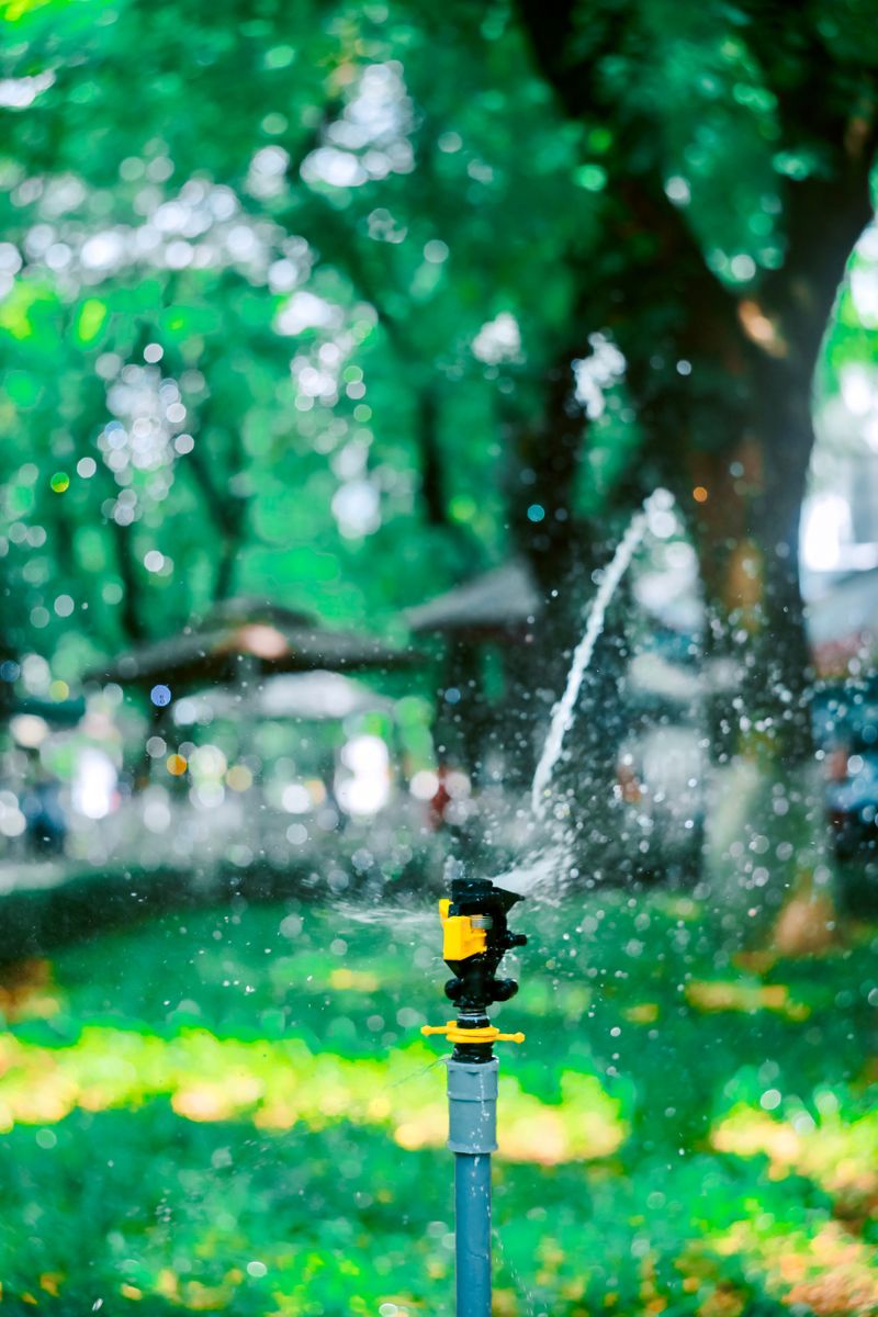 Catch Can Test For Measuring Actual Sprinkler Output Catch Can Test For Measuring Actual Sprinkler Output