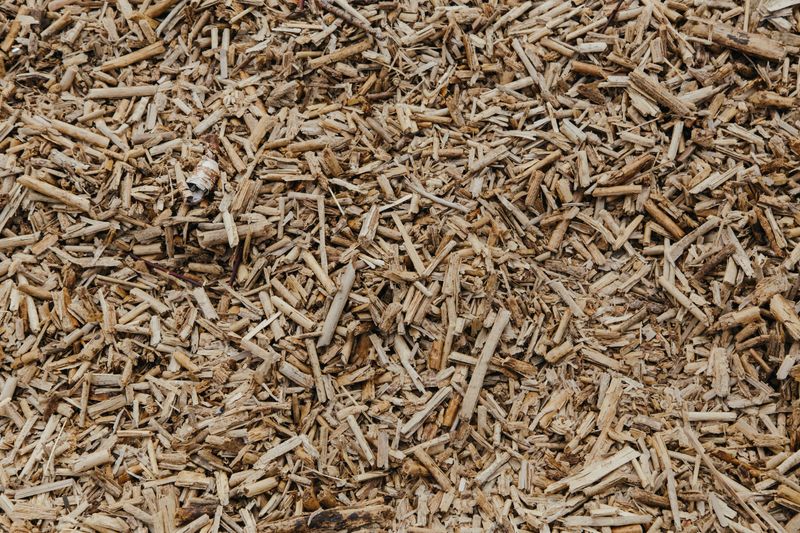 Certain Plants Prefer Mulch Over Mineral Cover Certain Plants Prefer Mulch Over Mineral Cover