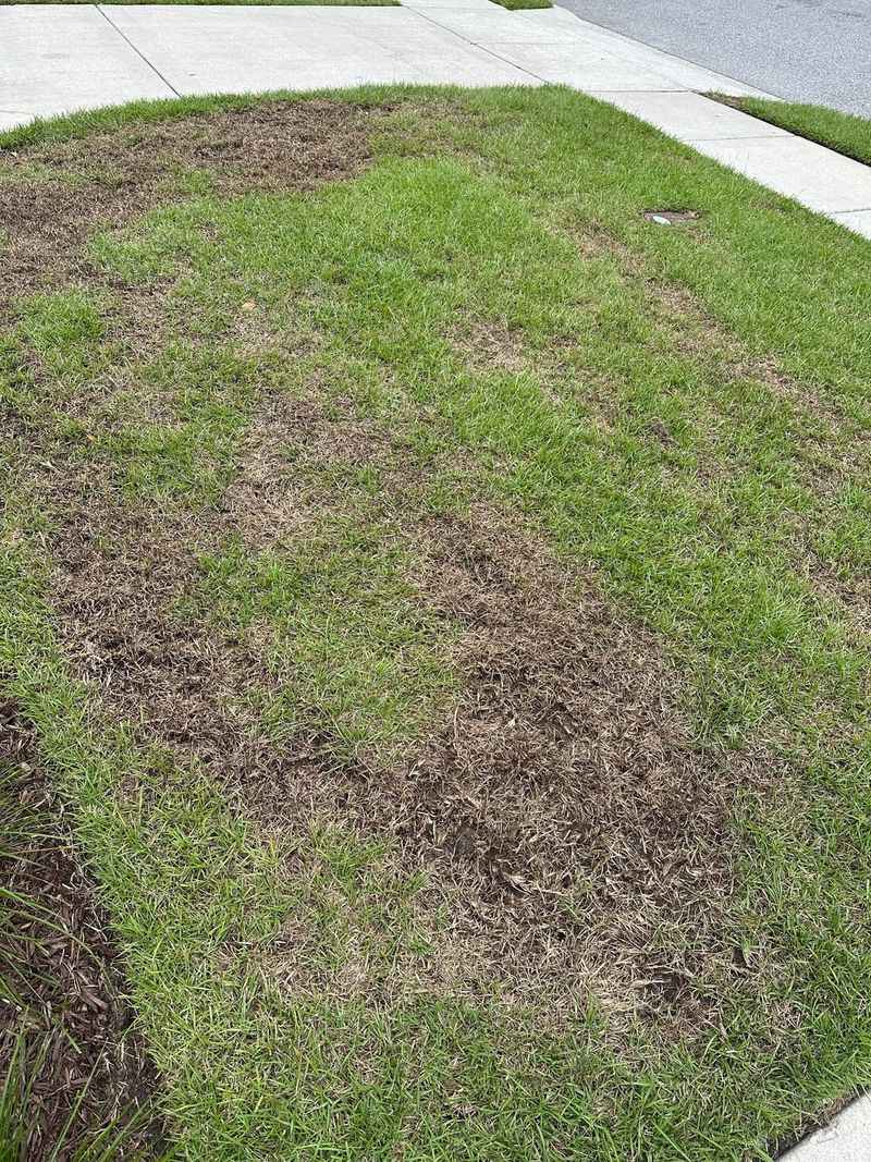 Certain Spots In The Yard Take The First Hit