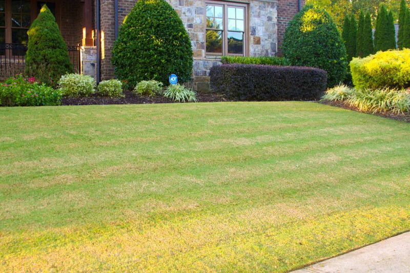 Change Your Mowing Schedule During Heat Change Your Mowing Schedule During Heat