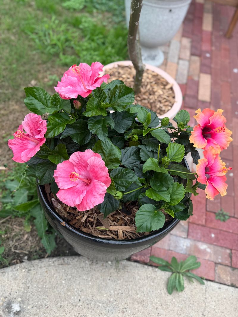Check Containers Before Peak Heat Arrives