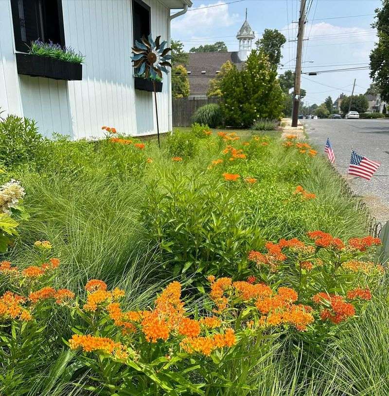 Check Drainage Before You Plant
