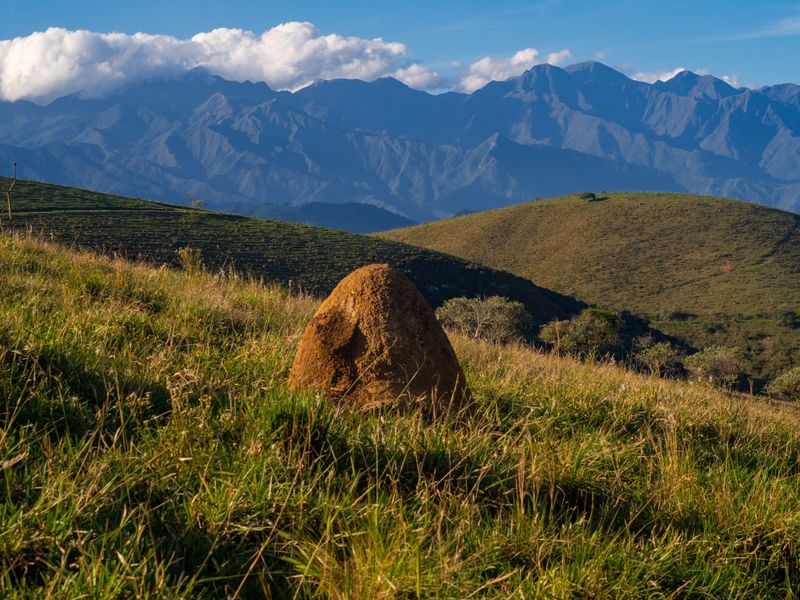 Check For A Volcano-Shaped Mound Check For A Volcano-Shaped Mound