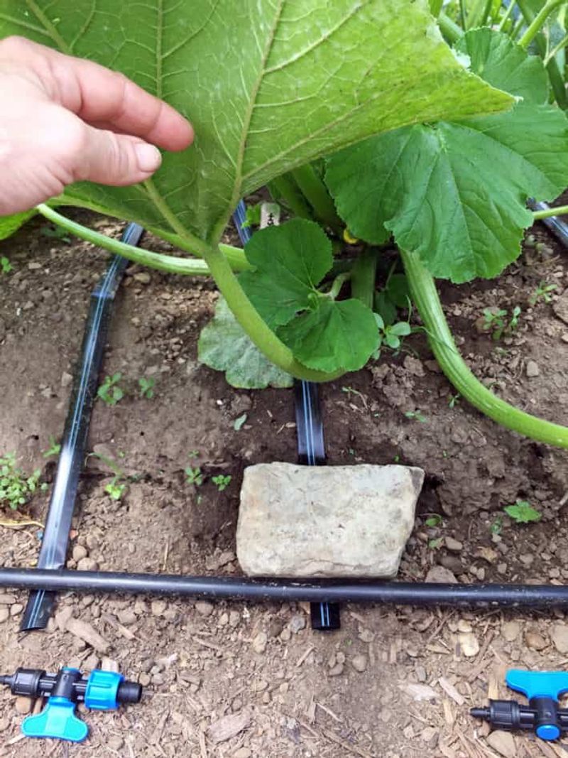 Check Irrigation Before Cooler Weather Arrives