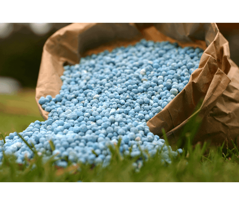 Check Local Rules Before Fertilizing In August
