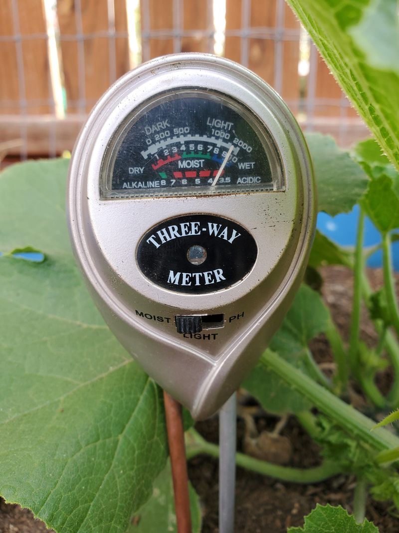 Check Moisture Below The Surface