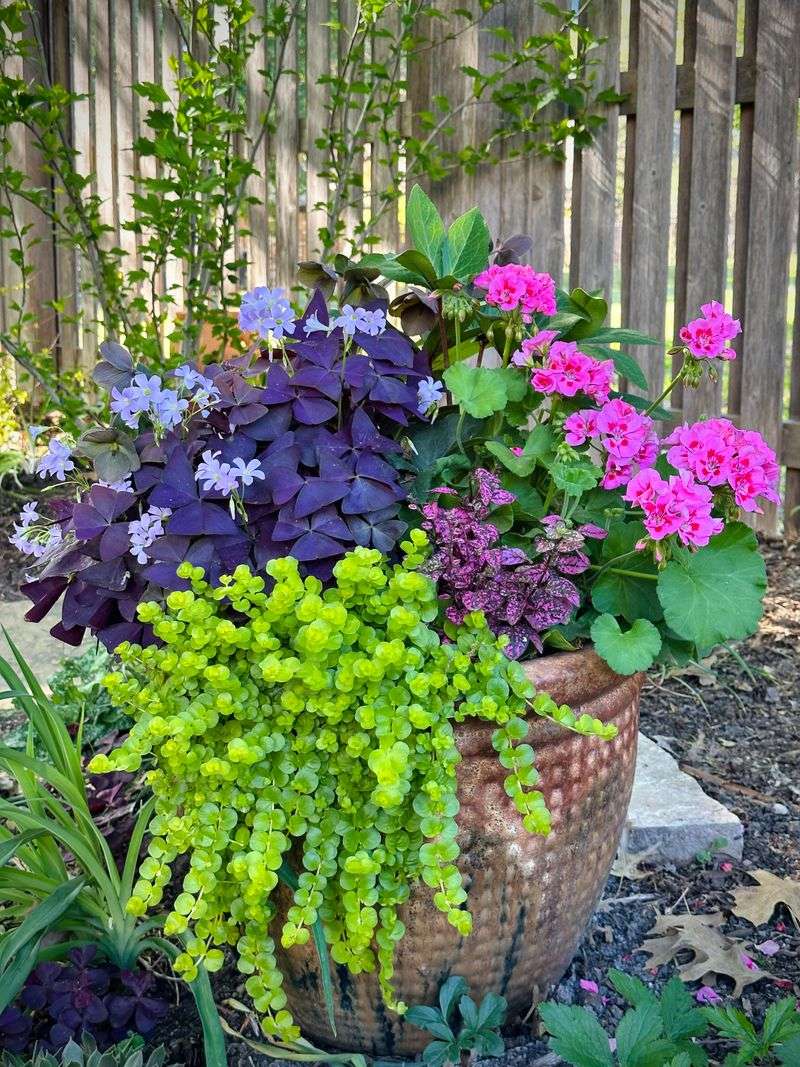 Check Small Pots Again By Evening