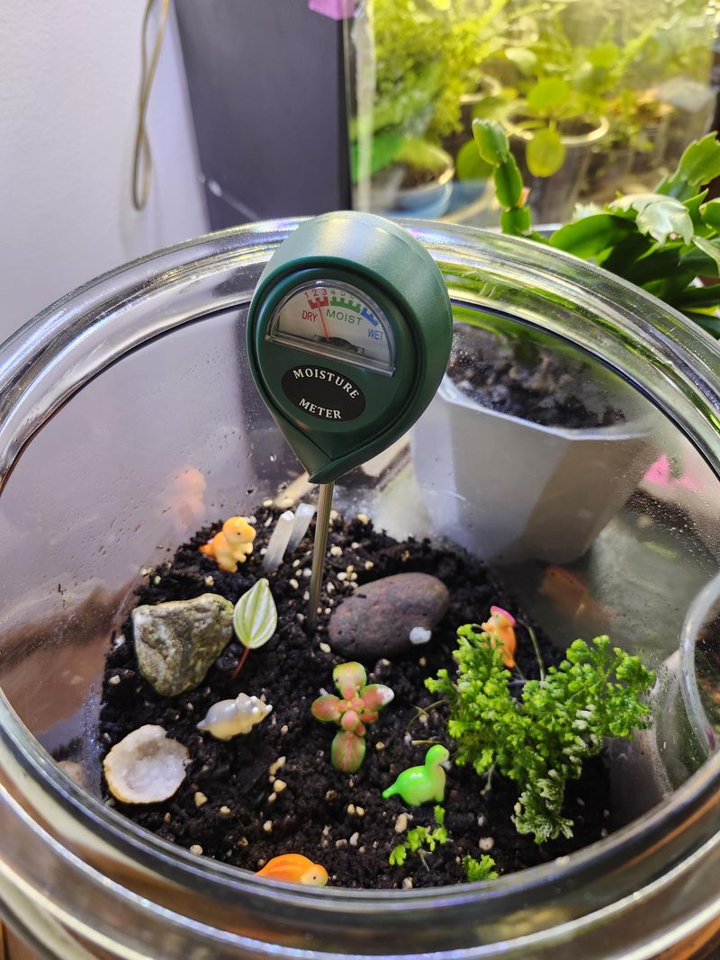 Check Soil Before Watering Again