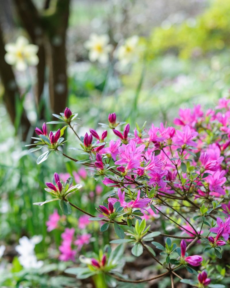 Check Soil Before Winter