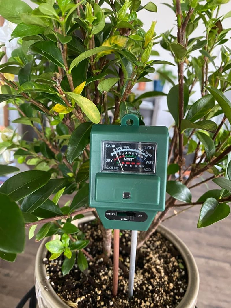 Check Soil Moisture Before Doing Anything Else