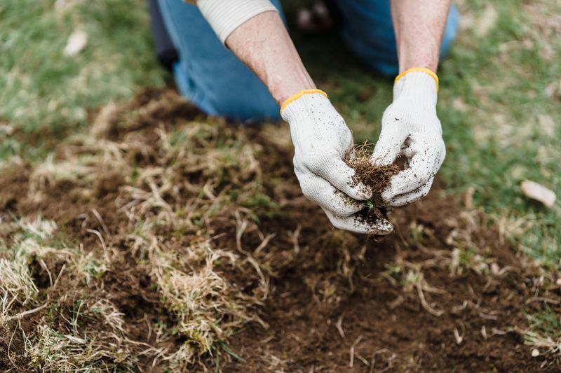 Check Soil Moisture Before Watering Again Check Soil Moisture Before Watering Again