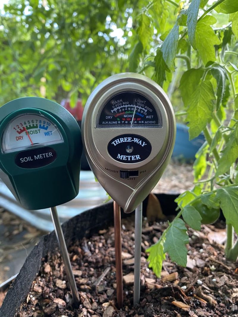 Check Soil Moisture Before You Water Check Soil Moisture Before You Water