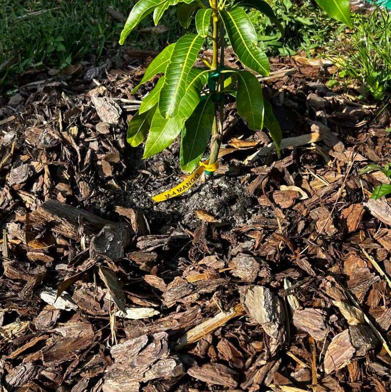 Check The Root Zone Before Adding Another Drop Check The Root Zone Before Adding Another Drop