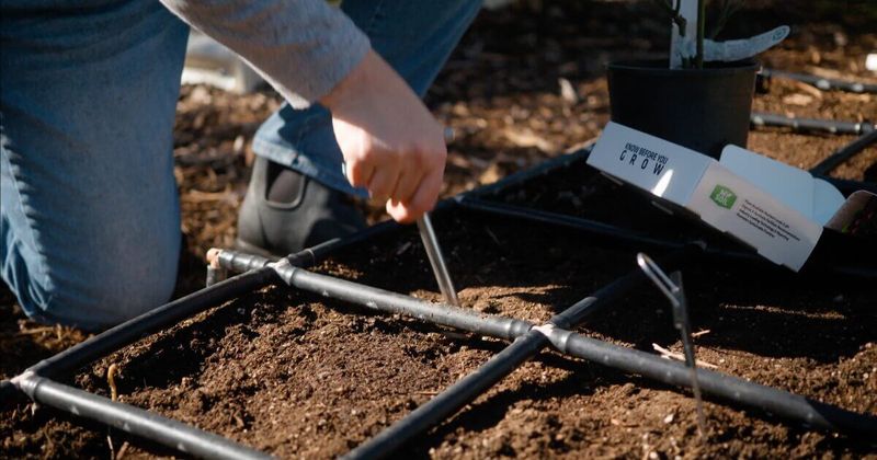 Check The Soil Before Adding New Amendments Check The Soil Before Adding New Amendments