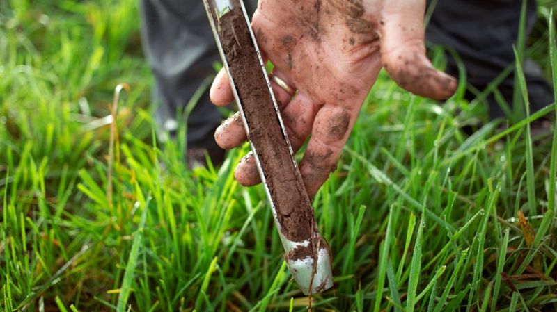 Check The Soil Before Reaching For Fertilizer