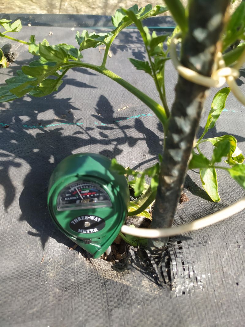 Check The Soil Before Running Irrigation