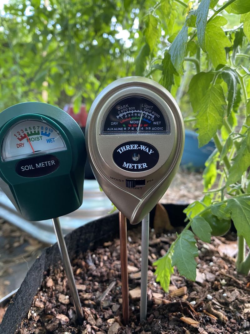 Check The Soil Before Skipping A Watering