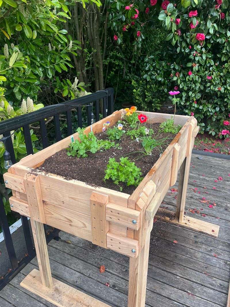 Check The Soil Instead Of Following A Schedule