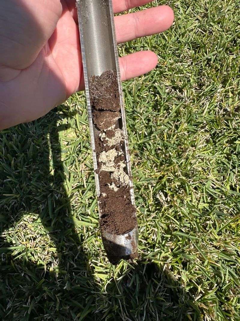 Check The Soil Instead Of Following The Calendar