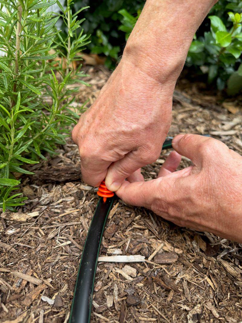 Check Under The Mulch Before Running The Hose Again Check Under The Mulch Before Running The Hose Again