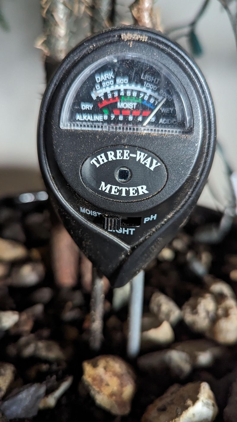 Check Wet Soil Before Adding More Water Check Wet Soil Before Adding More Water