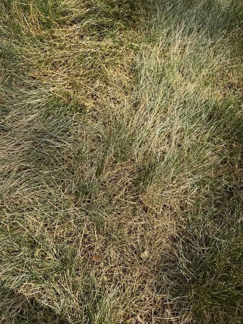 Check Whether A Drought Emergency Is Active Check Whether A Drought Emergency Is Active