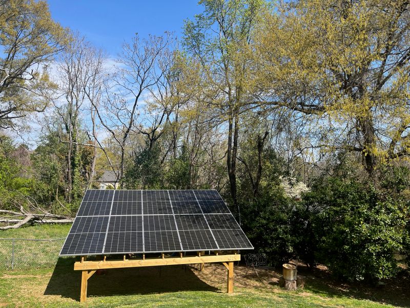 Check Which Came First, Tree Or Panels