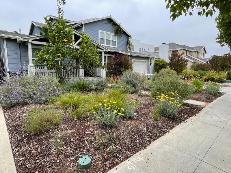 Check Your Water Agency Before Buying Any Plants