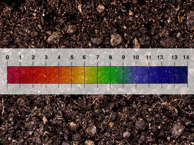Check pH Before Choosing Your Fall Crops
