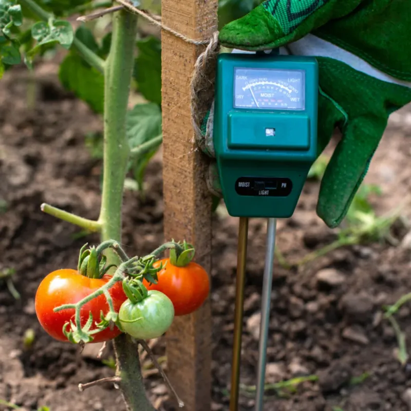 Checking Moisture Below The Dry-Looking Surface Checking Moisture Below The Dry-Looking Surface