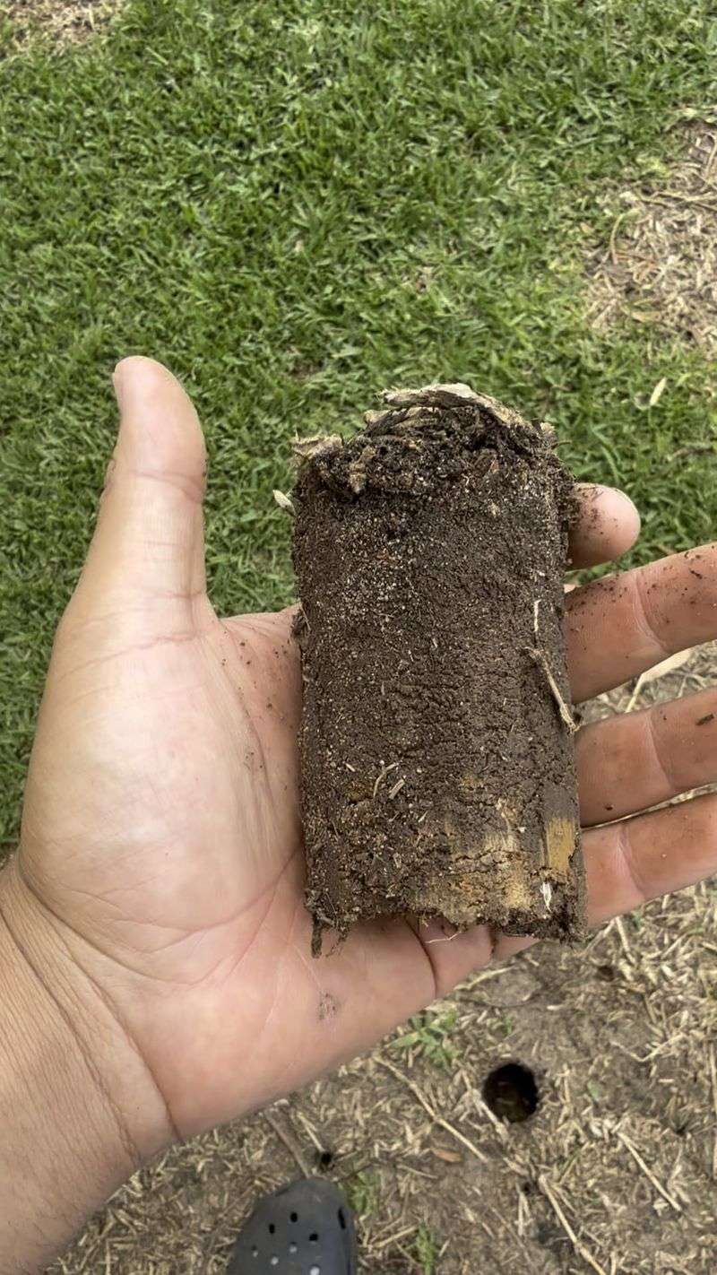 Checking Soil Compaction Before Fall Aeration Checking Soil Compaction Before Fall Aeration