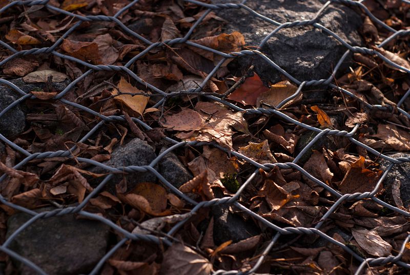 Chicken Wire Or Mesh Laid Over The Soil Surface
