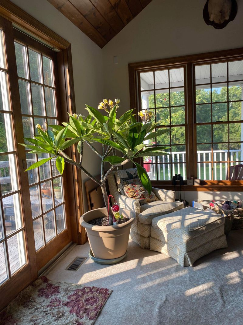 Choose A Sheltered Indoor Spot Away From Cold Drafts