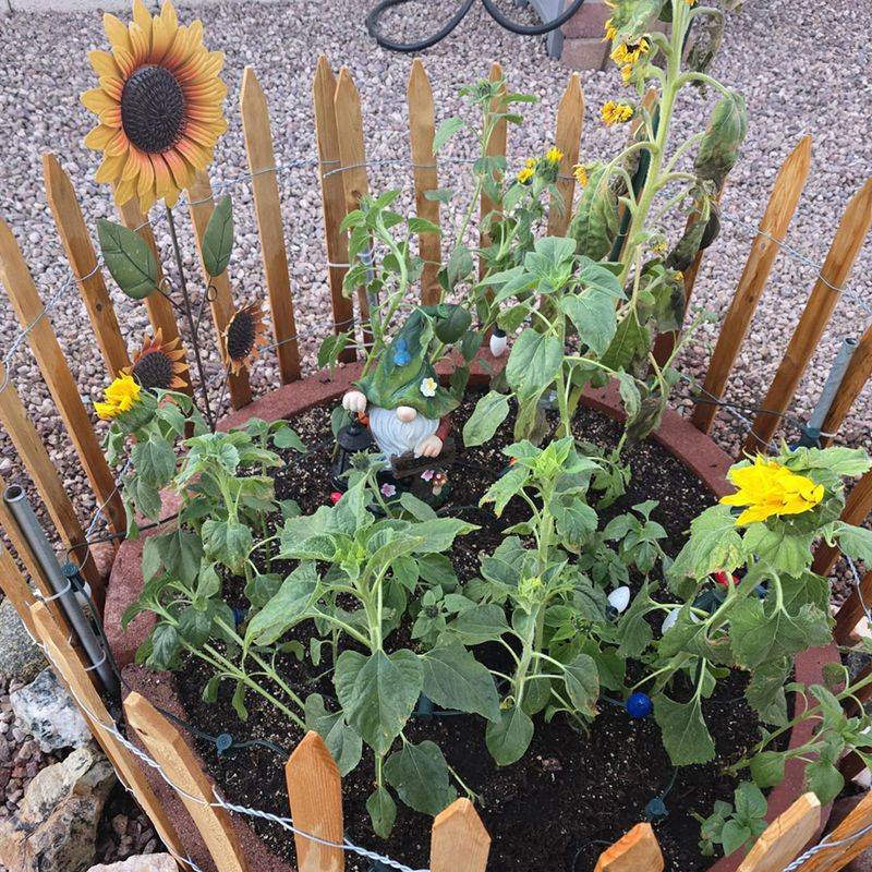 Choose A Well-Drained Location Before You Start Planting Choose A Well-Drained Location Before You Start Planting