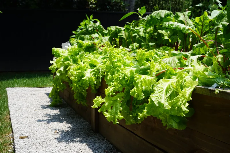 Choose Fast Varieties When Time Runs Short