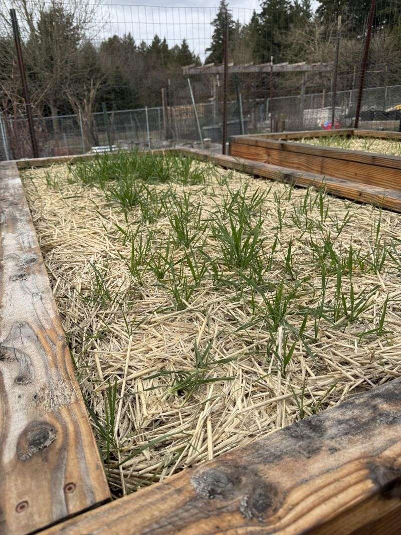 Choose Loose Organic Materials That Still Breathe Choose Loose Organic Materials That Still Breathe