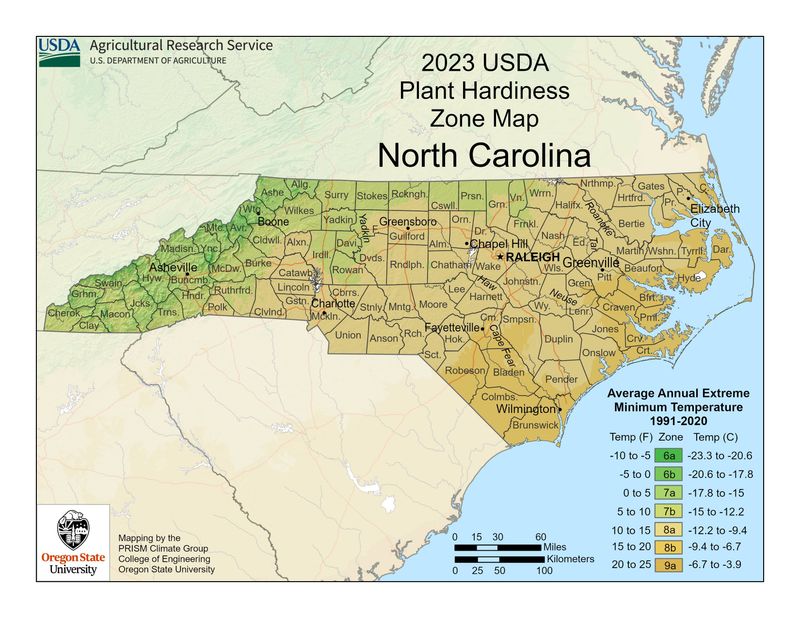 Choose The Planting Window For Your Region Choose The Planting Window For Your Region