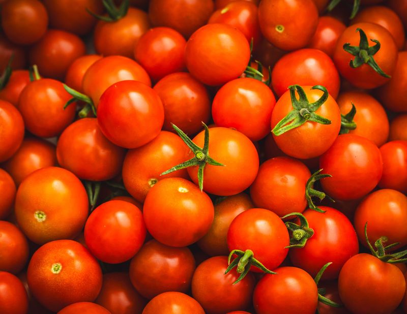 Choose Thinner-Skinned Varieties Suited For Nebraska Choose Thinner-Skinned Varieties Suited For Nebraska