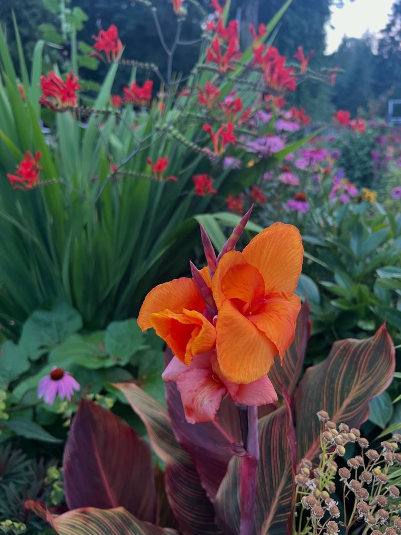 Choose Wet-Tolerant Varieties Going Forward