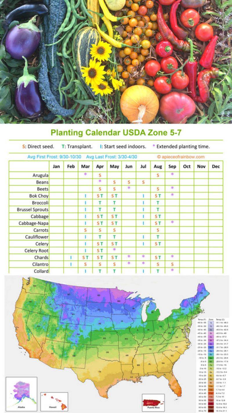 Choose a Regional Sowing Window Choose a Regional Sowing Window