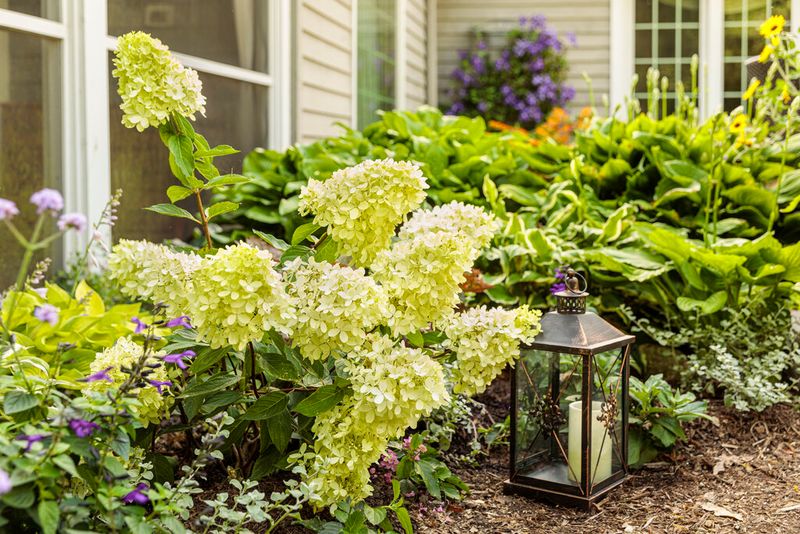 Choose the Right Plant and Exposure Choose the Right Plant and Exposure