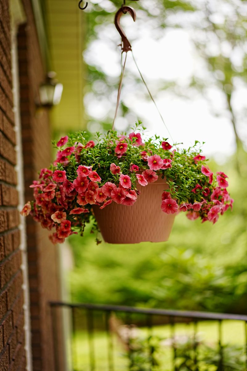 Choosing Containers That Retain Moisture Longer