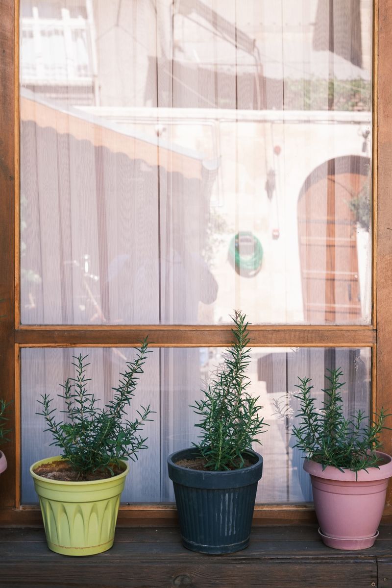 Choosing Containers That Suit Porch Growing